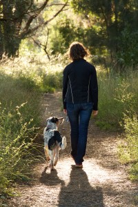 Private dog walking in Sydney's eastern suburbs